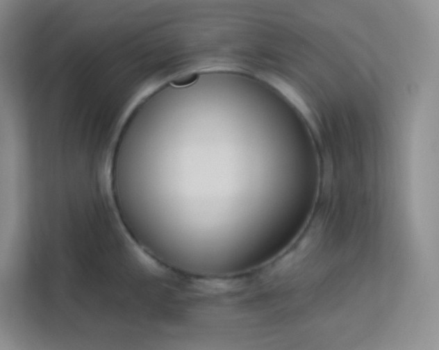 X0000113321197200909281201