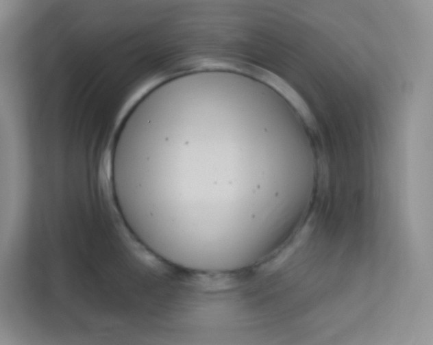 X0000113321198200909281201