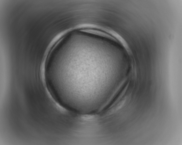 X0000113321199200909281201