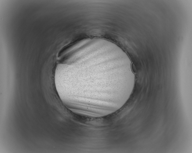 X0000113321201200909281200