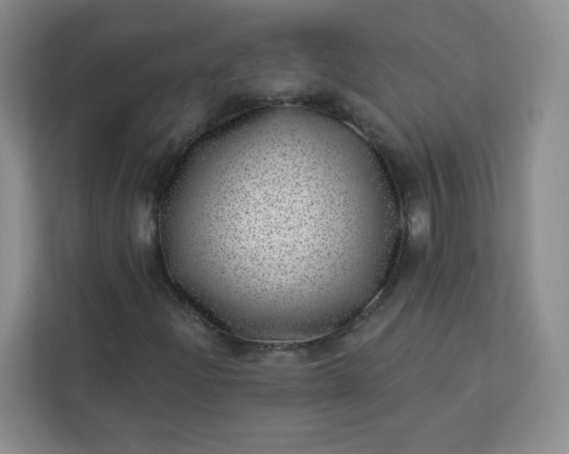 X0000113321204200909281200