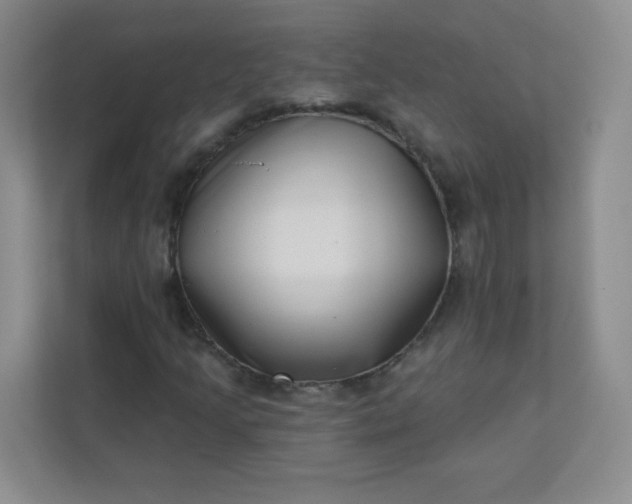 X0000113321205200909281200