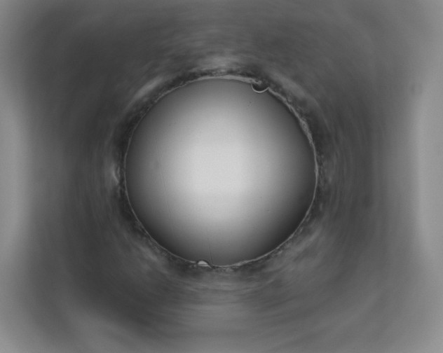 X0000113321206200909281200