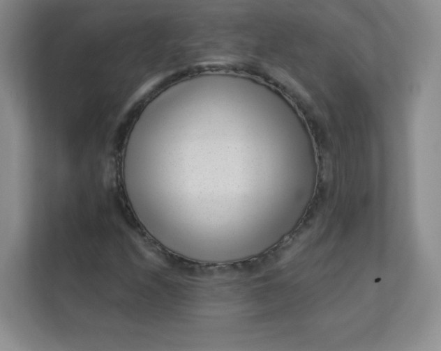 X0000113321208200909281200