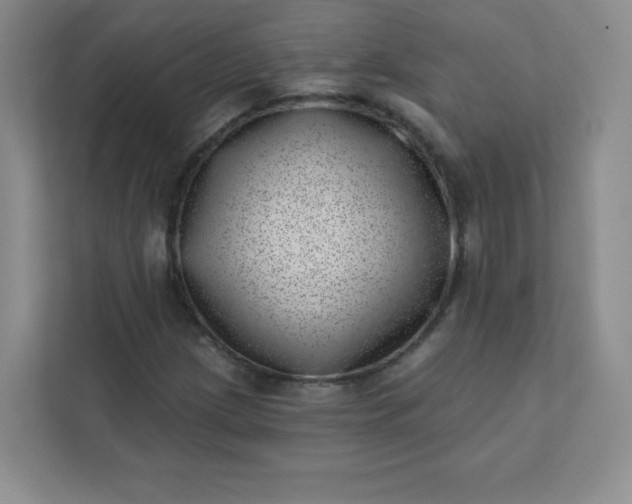 X0000113321209200909281200