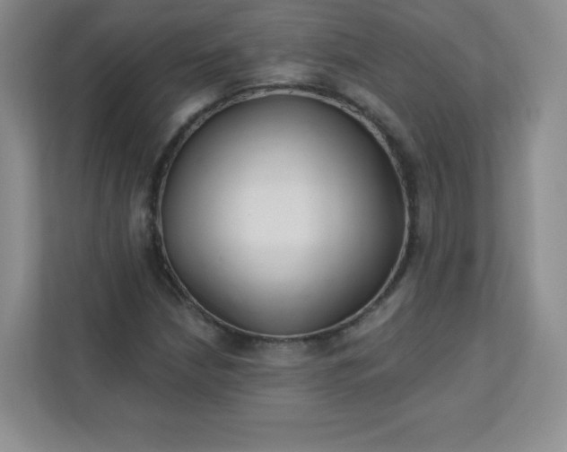 X0000113321210200909281200