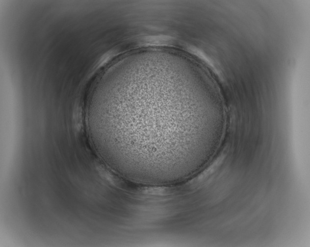 X0000113321211200909281200