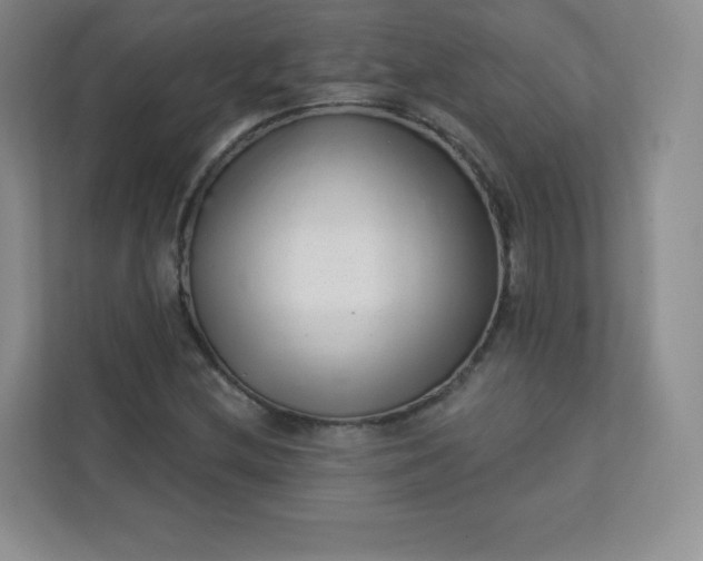 X0000113321212200909281200