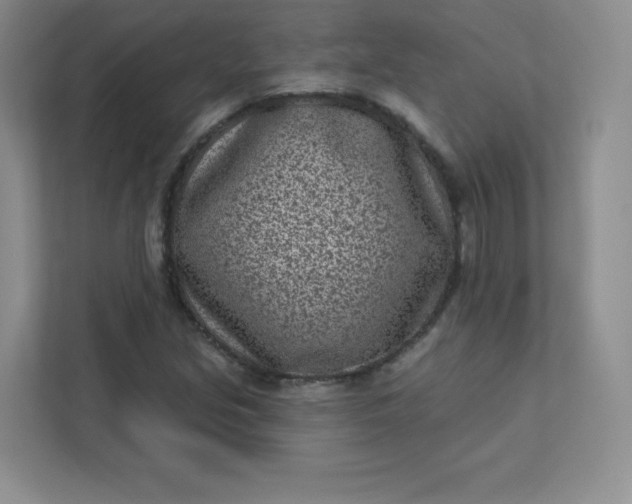 X0000113321213200909281200