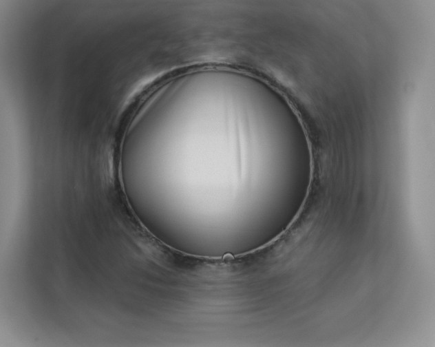 X0000113321214200909281200