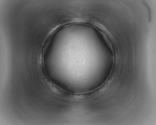 X0000113321220200909281200