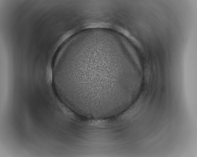 X0000113321221200909281200