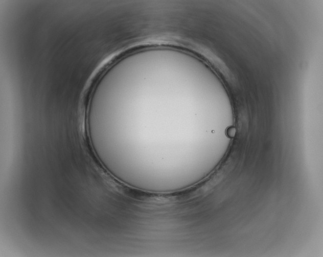 X0000113321224200909281200