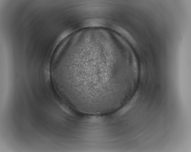 X0000113321226200909281200