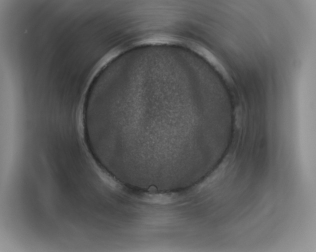 X0000113321229200909281200