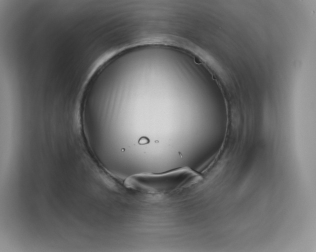 X0000113321230200909281200