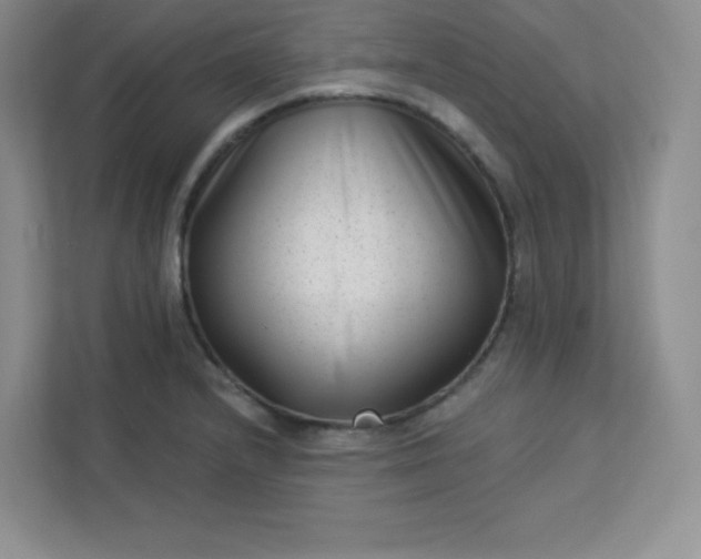 X0000113321232200909281200