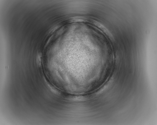 X0000113321233200909281200