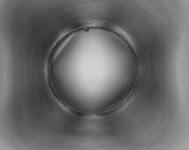 X0000113321235200909281200