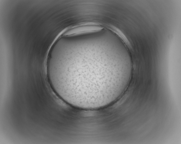 X0000113321236200909281200