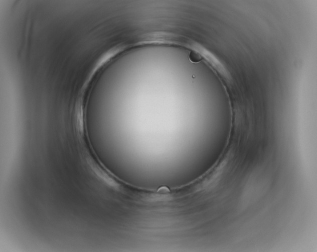 X0000113321238200909281200