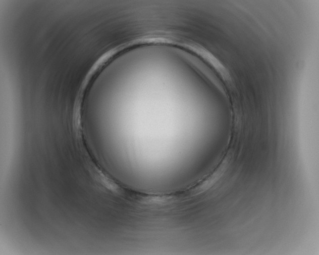 X0000113321240200909281200