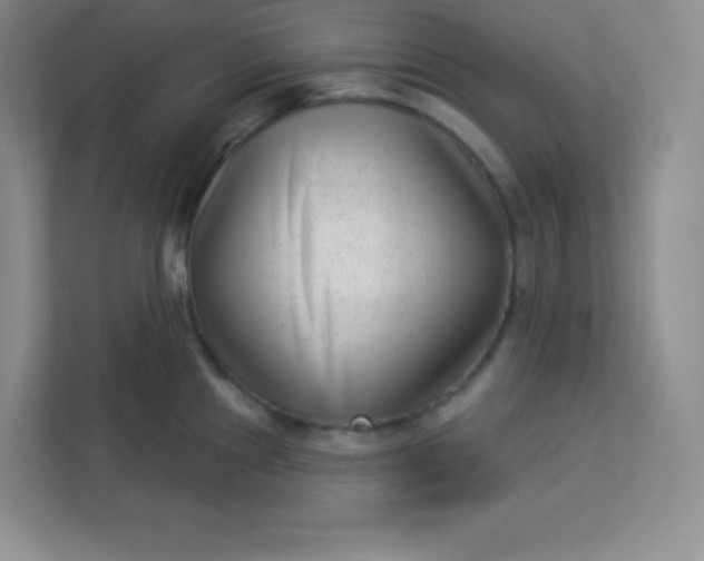 X0000113321241200909281200