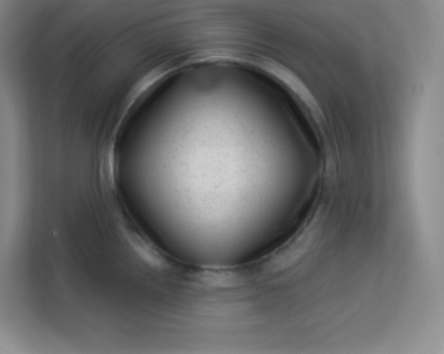 X0000113321242200909281201