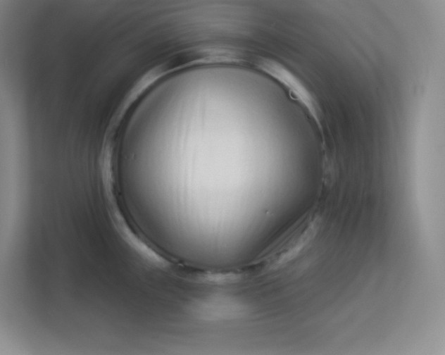 X0000113321243200909281201