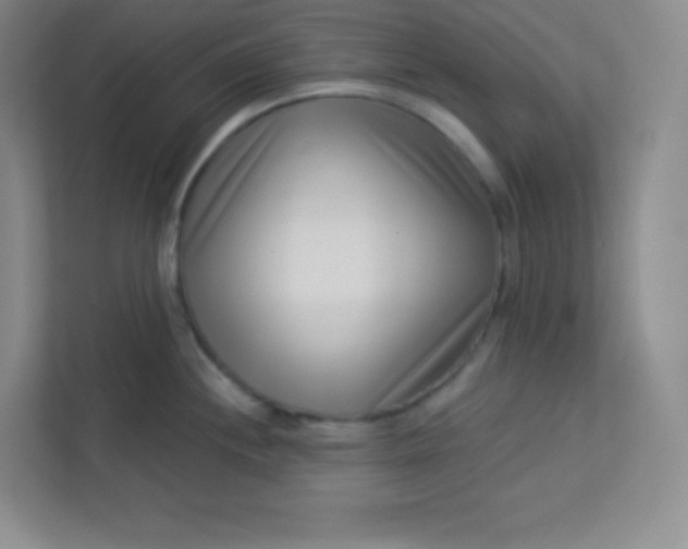 X0000113321244200909281201