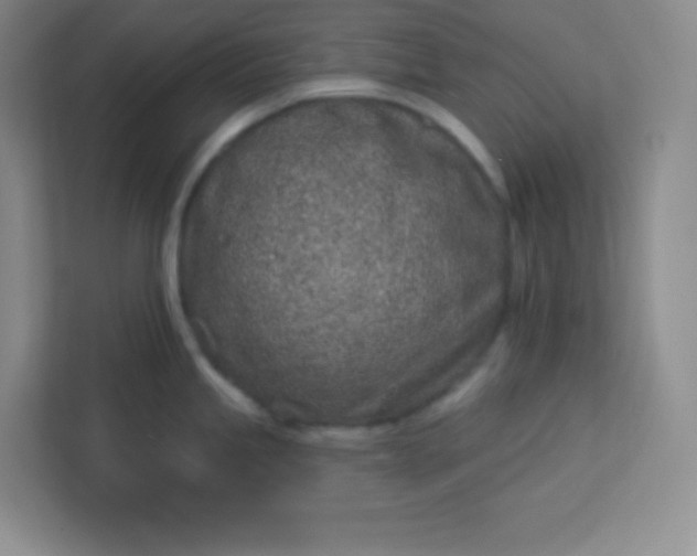 X0000113321245200909281201