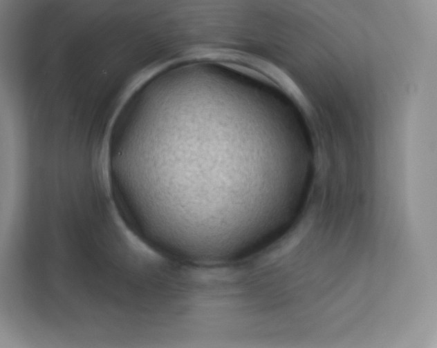 X0000113321247200909281201