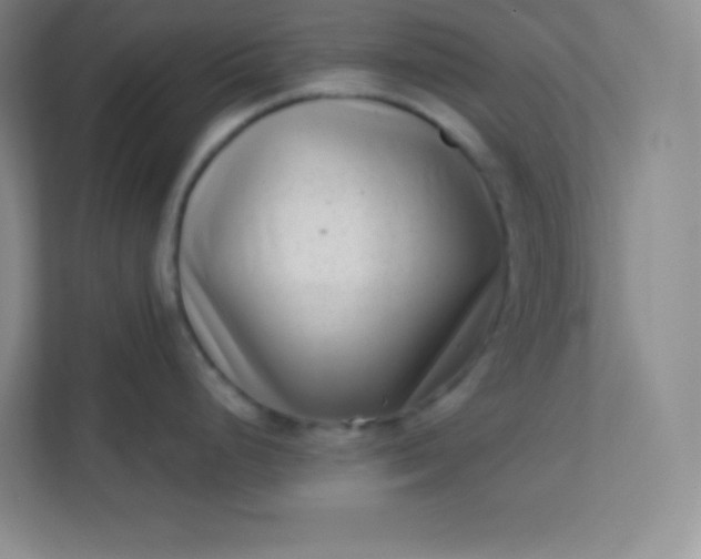 X0000113321248200909281201