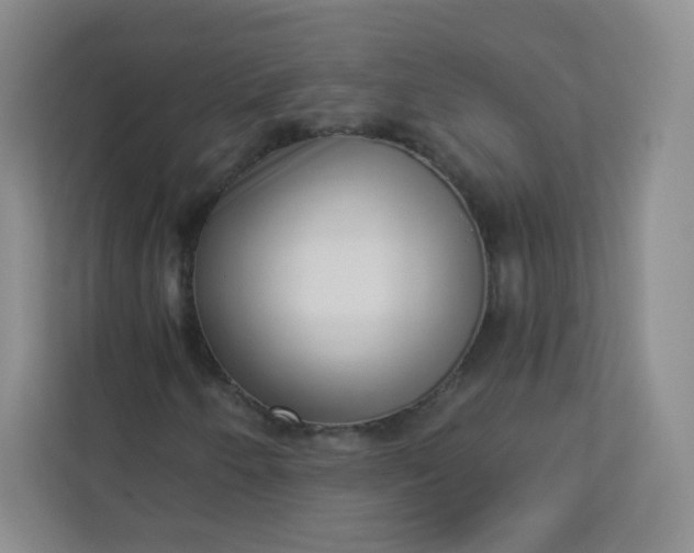 X0000113321250200909281200