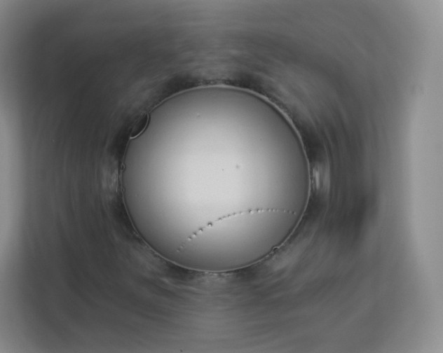 X0000113321251200909281200