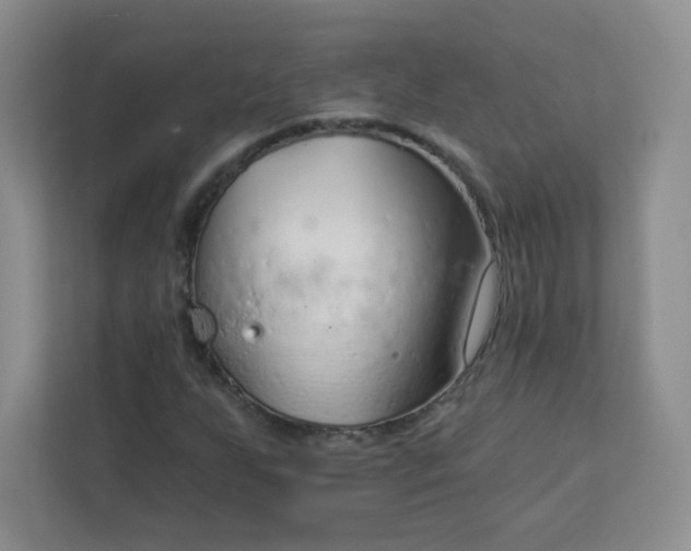 X0000113321255200909281200