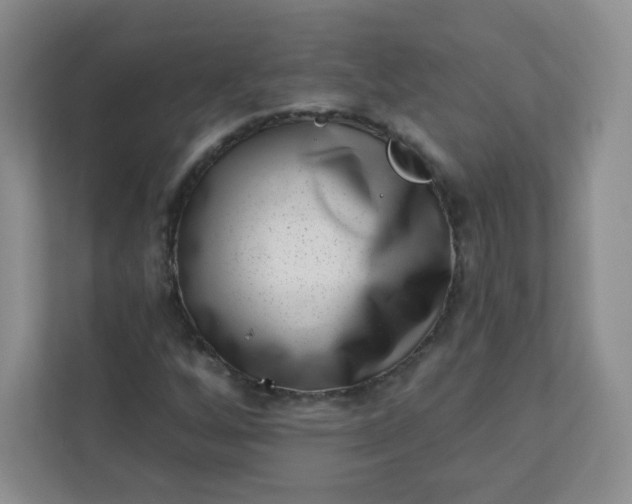 X0000113321256200909281200