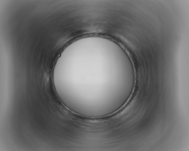 X0000113321257200909281200