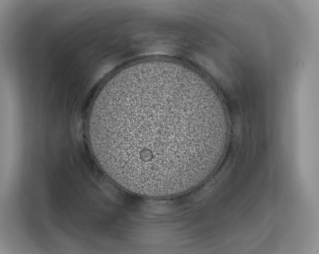 X0000113321258200909281200