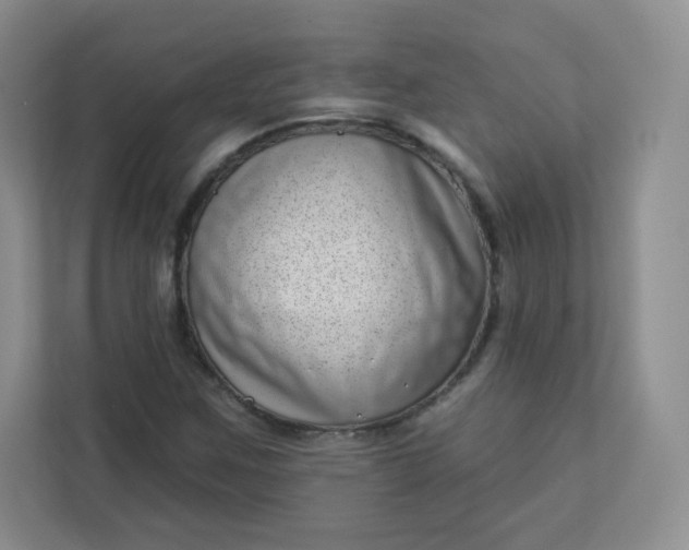 X0000113321259200909281200