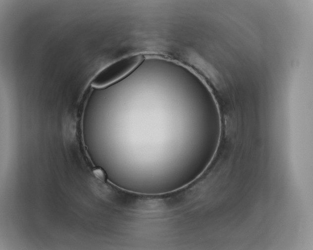 X0000113321260200909281200