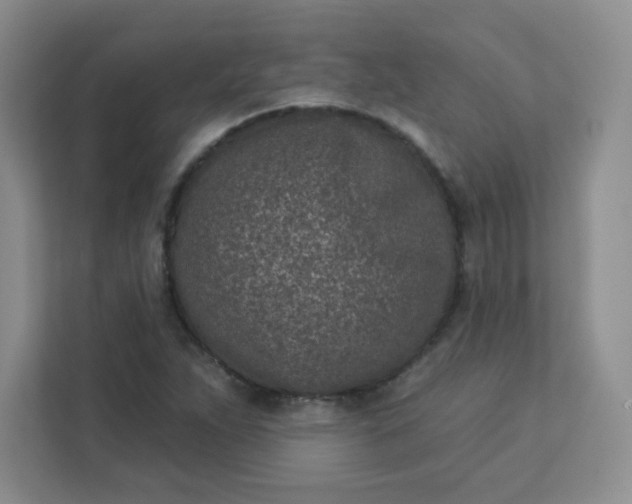 X0000113321263200909281200