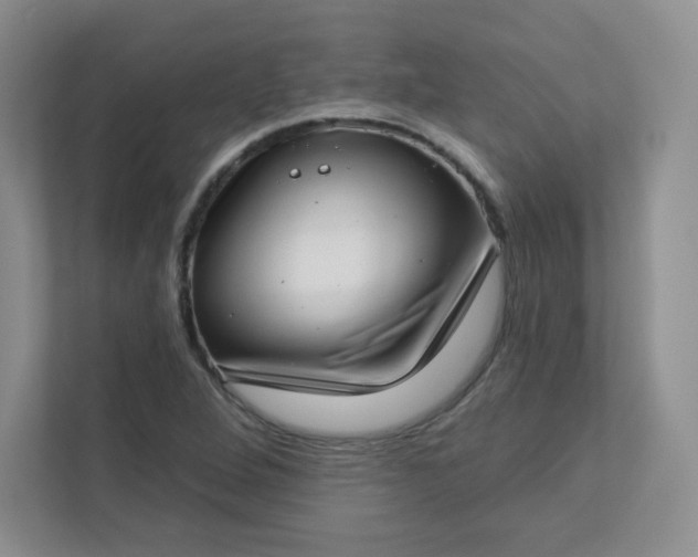 X0000113321264200909281200