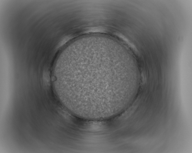 X0000113321266200909281200