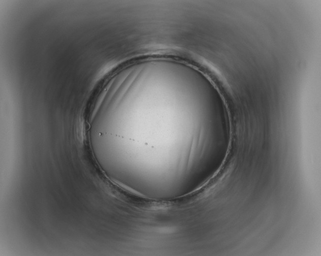 X0000113321267200909281200