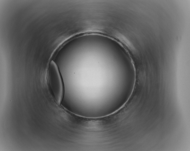 X0000113321268200909281200