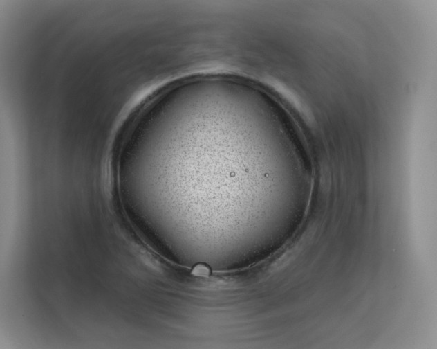 X0000113321270200909281200