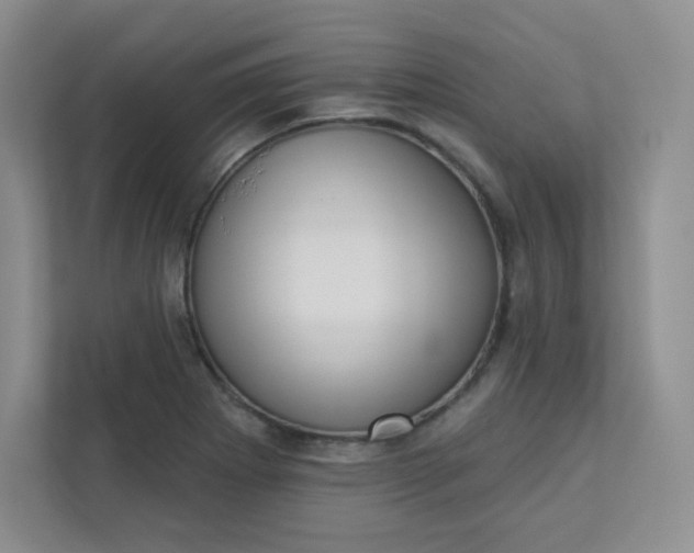 X0000113321273200909281200