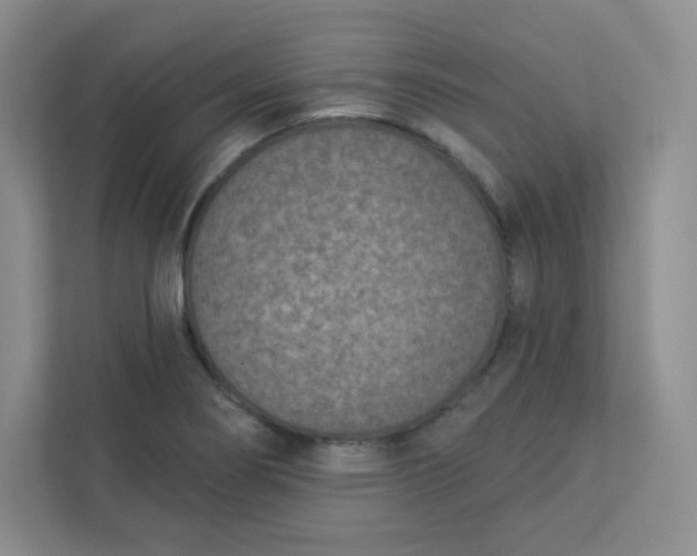 X0000113321274200909281200