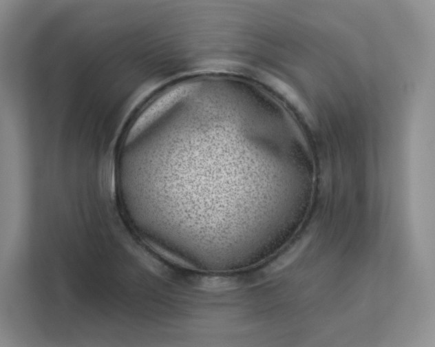 X0000113321275200909281200